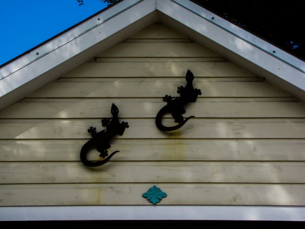 Shiplap Siding Installation in Sioux City